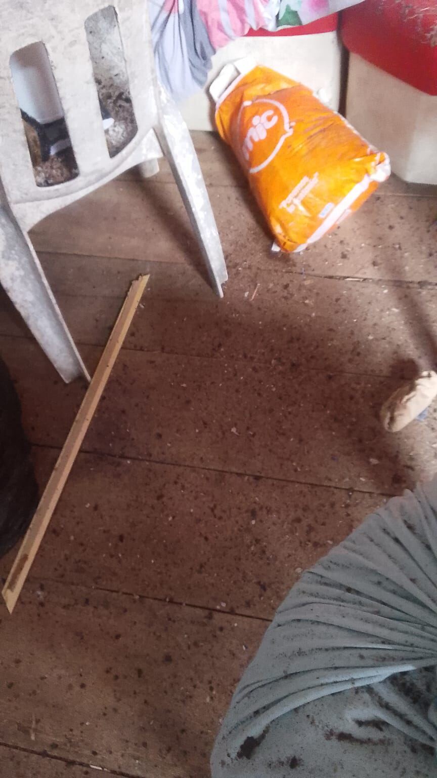 Daños en vivienda tras el sismo en Chocó